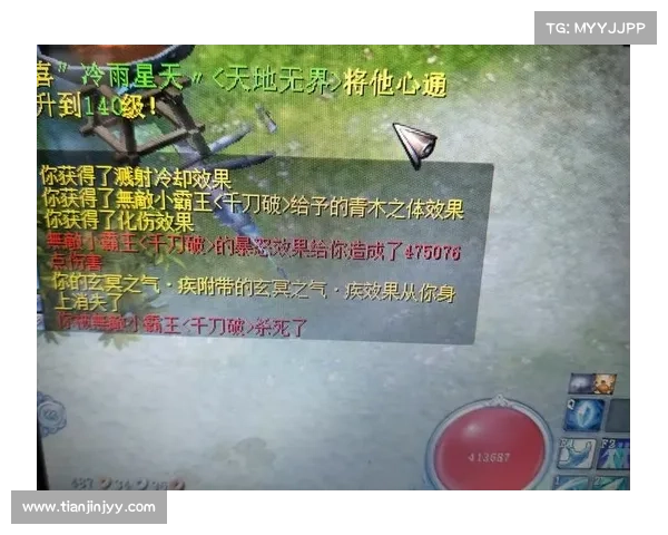 如何为武魂玄冰加点以提升输出与防御能力的最佳方案解析 如何为武魂玄冰加点以提升输出与防御能力的最佳方案解析