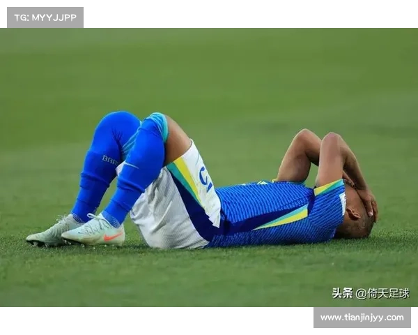 全景全面探索加的夫城足球队历年参与的多种联赛类别深度解析研究