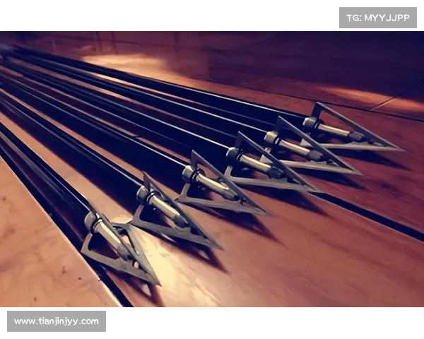 弓箭竞技的辉煌历程与现代发展趋势全景分析