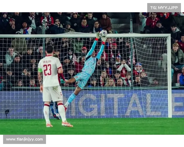 捷克传奇门将对球队的历史影响与世界足坛地位分析